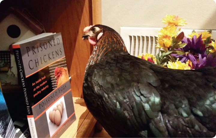 ra3 jan 2016 crr calendar