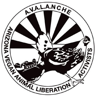 avalanche