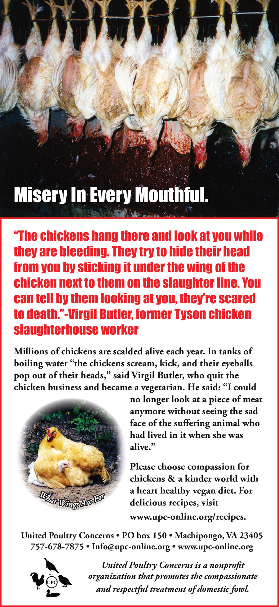 Diamondback Misery in Every Mouthful