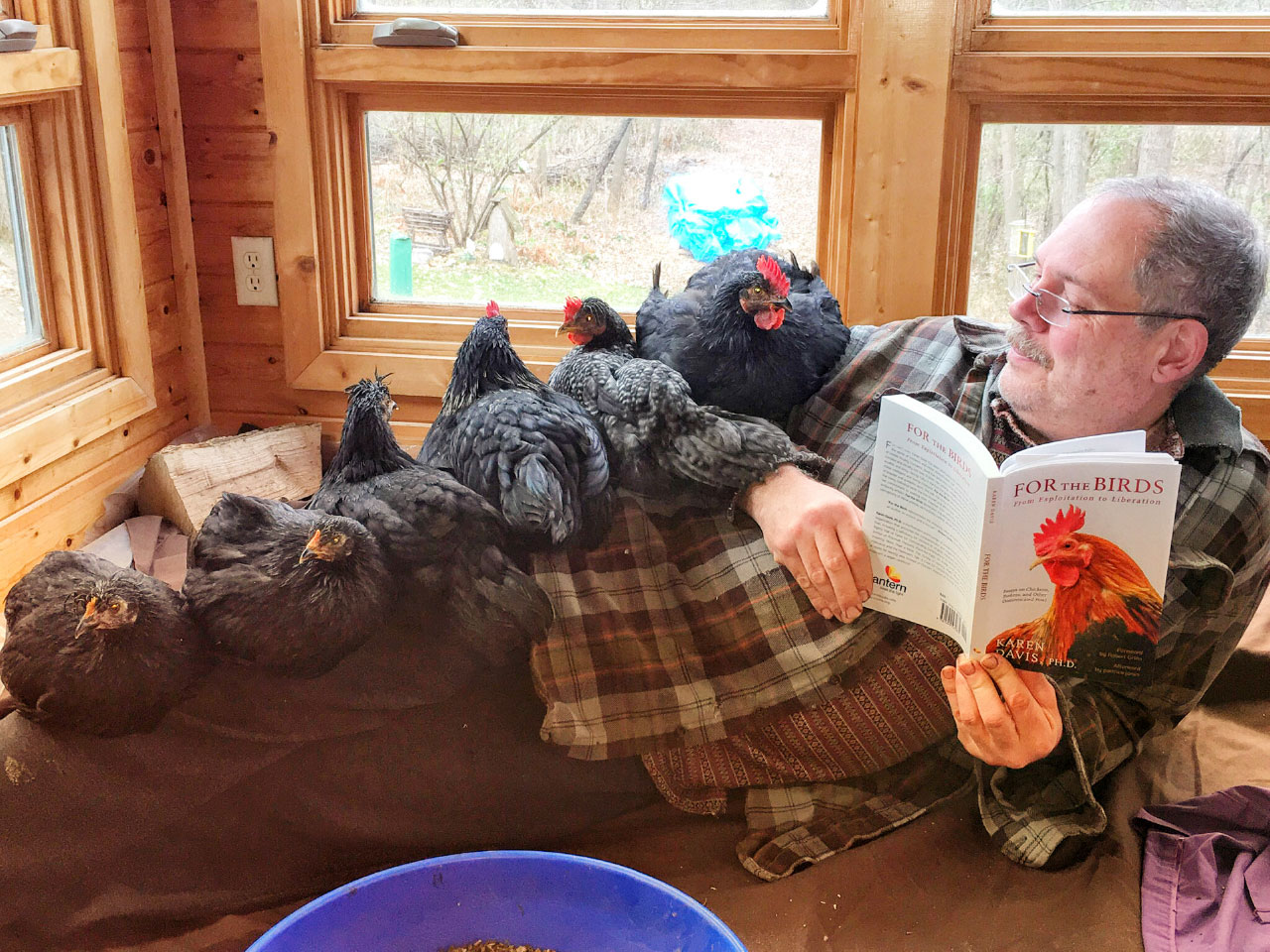Chicken Run Rescue photo of Bob McGrath and his lady loves by Colleen McGrath.