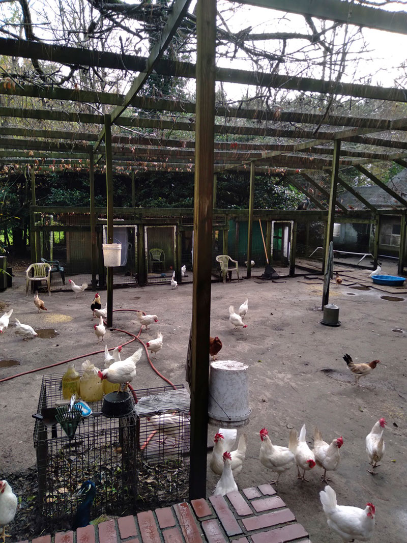 UPC Sanctuary, November 2020