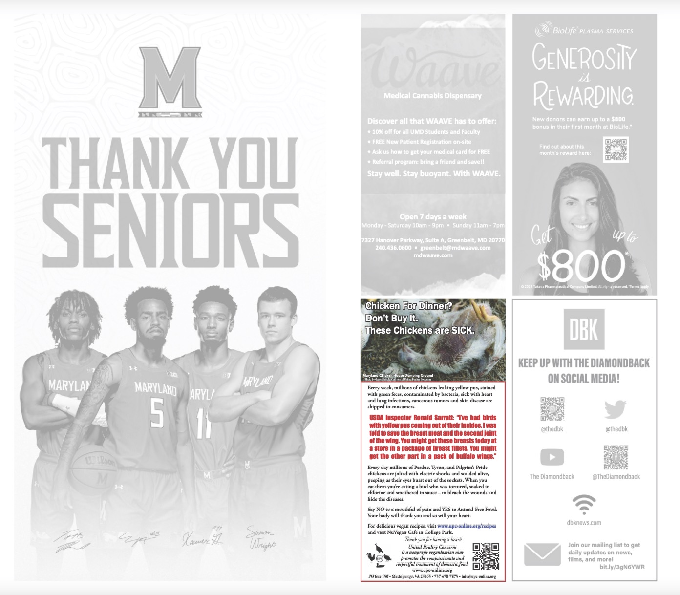 UPC Chicken for Dinner Ad in University of MD Sprit Paper