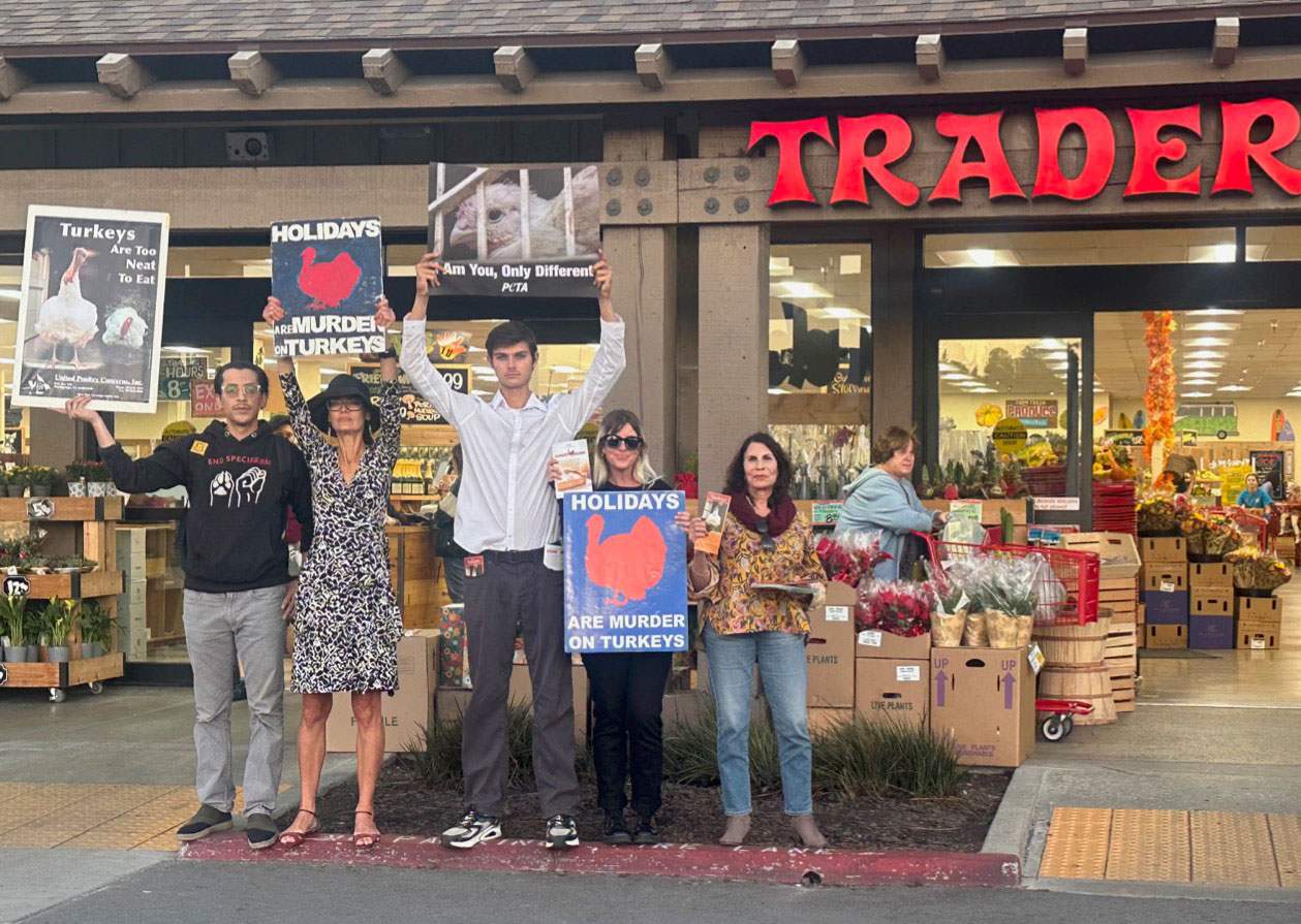 Trader Joe's in Encinitas, CA