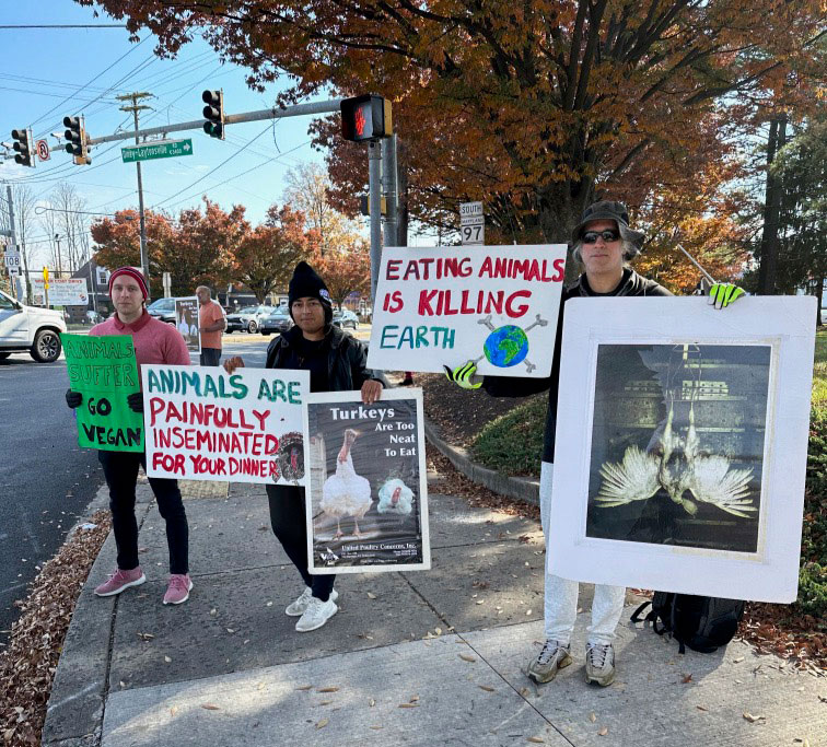 Vegan (Thanksgiving) Demo in Olney, MD: Raise Awareness for Farmed Animals!