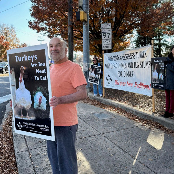 Vegan (Thanksgiving) Demo in Olney, MD: Raise Awareness for Farmed Animals!