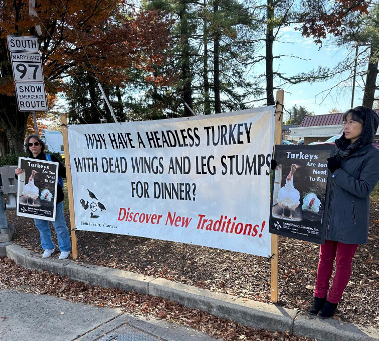 Vegan (Thanksgiving) Demo in Olney, MD: Raise Awareness for Farmed Animals!