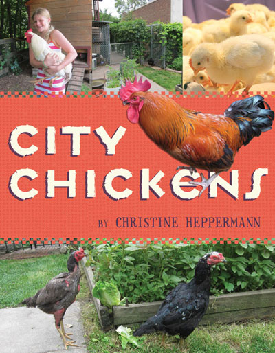 city chickens