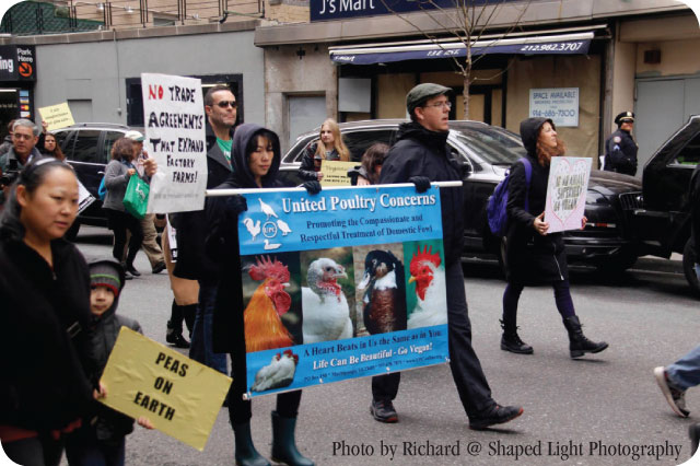 vpp franklin liqin banner