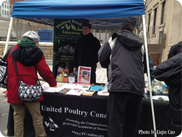 vpp franklin staffs our table