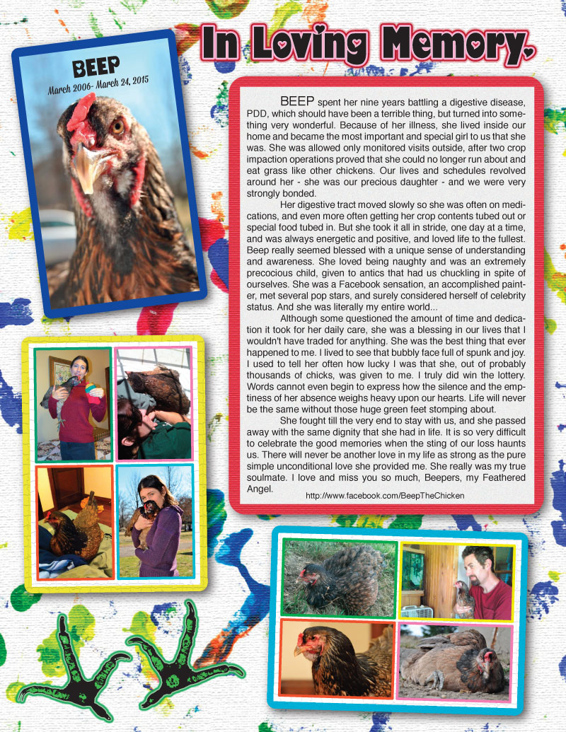 beep, in loving memory