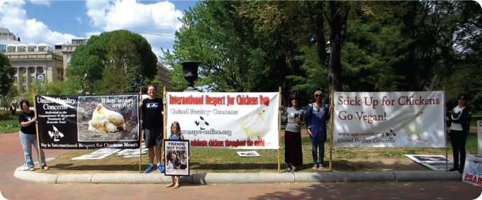 ircd white house 3 banners