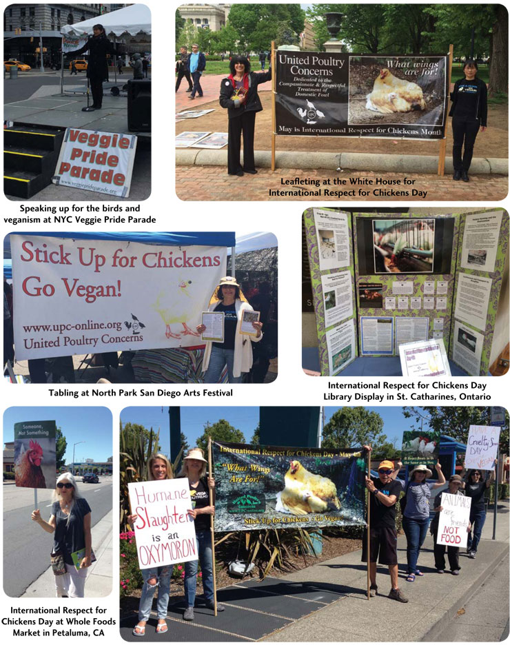 spring into action 2