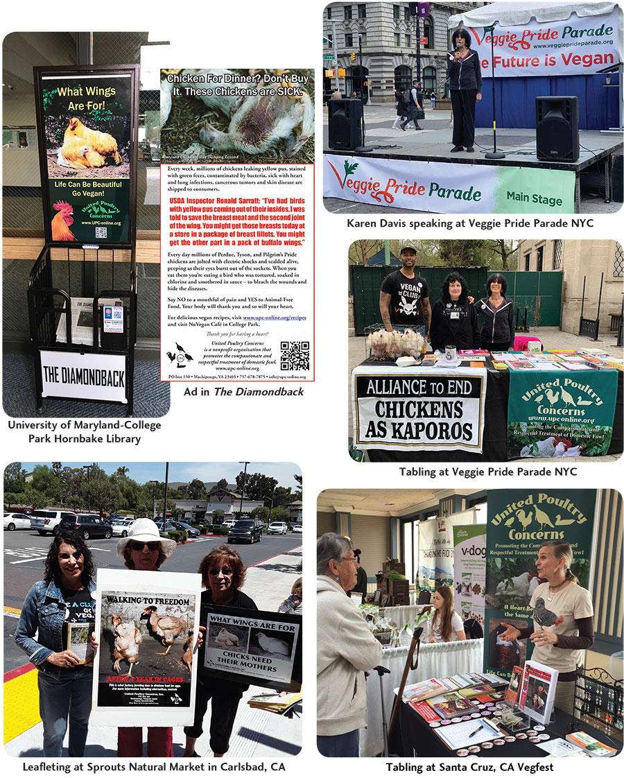 UPC Spring Activities Gallery 1