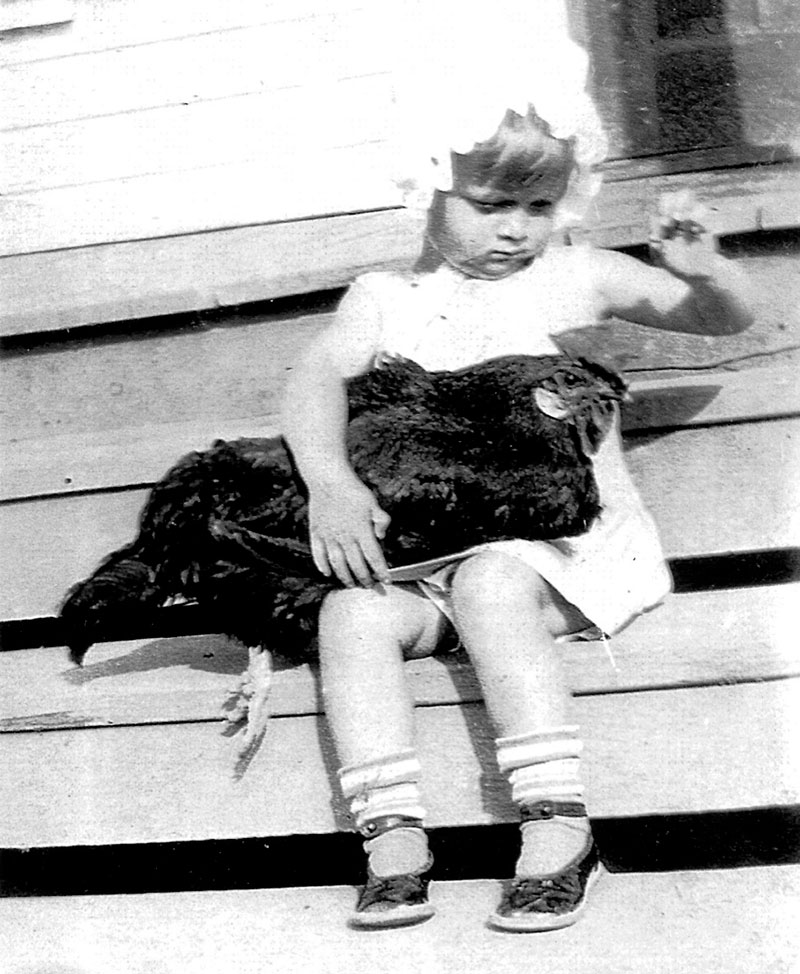 1920s Pet Rooster