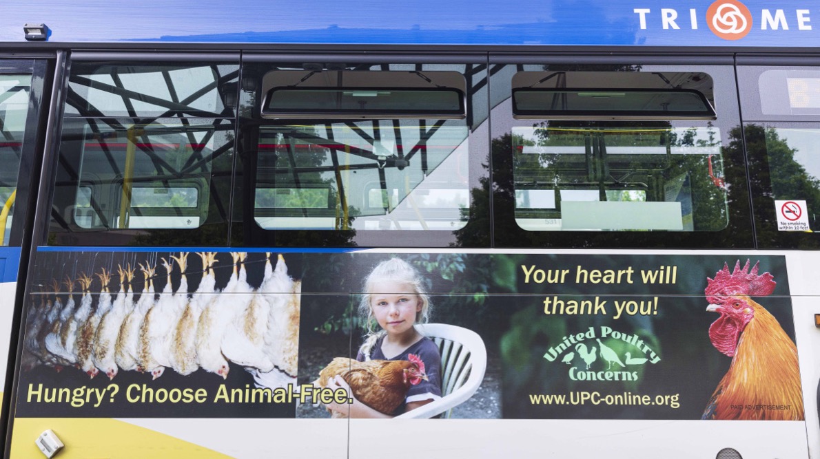 Bus Ad Portland, OR