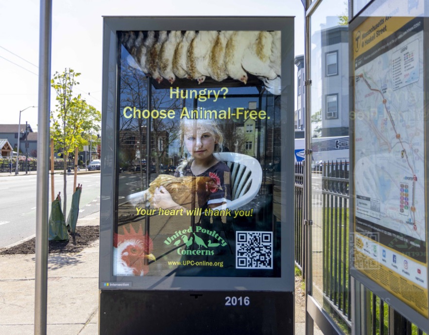 Bus Shelter Ad Boston, MA