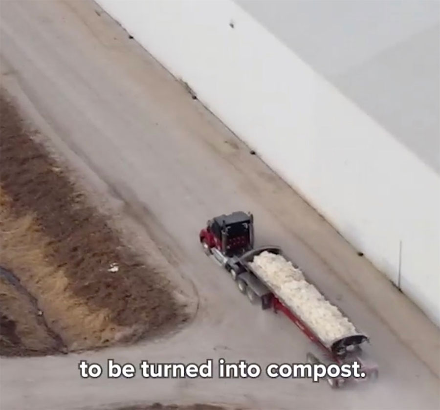 Rembrandt Vsd Depopulation of Caged Hens Iowa Compost