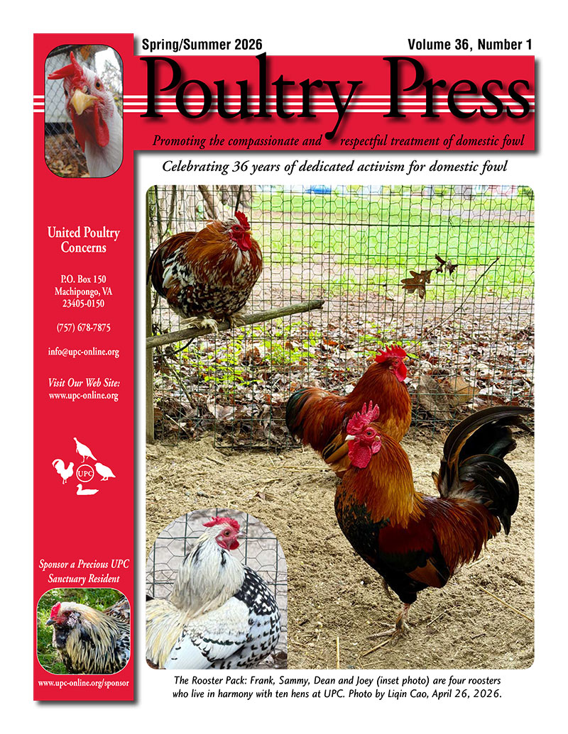 UPC Spring-Summer 2026 Poultry Press