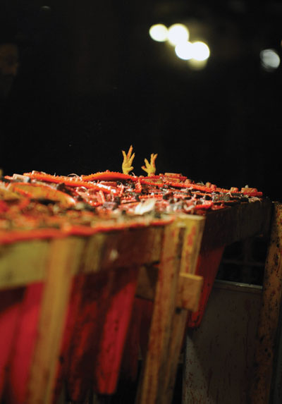 PHO-10Oct07-258073 (32K)