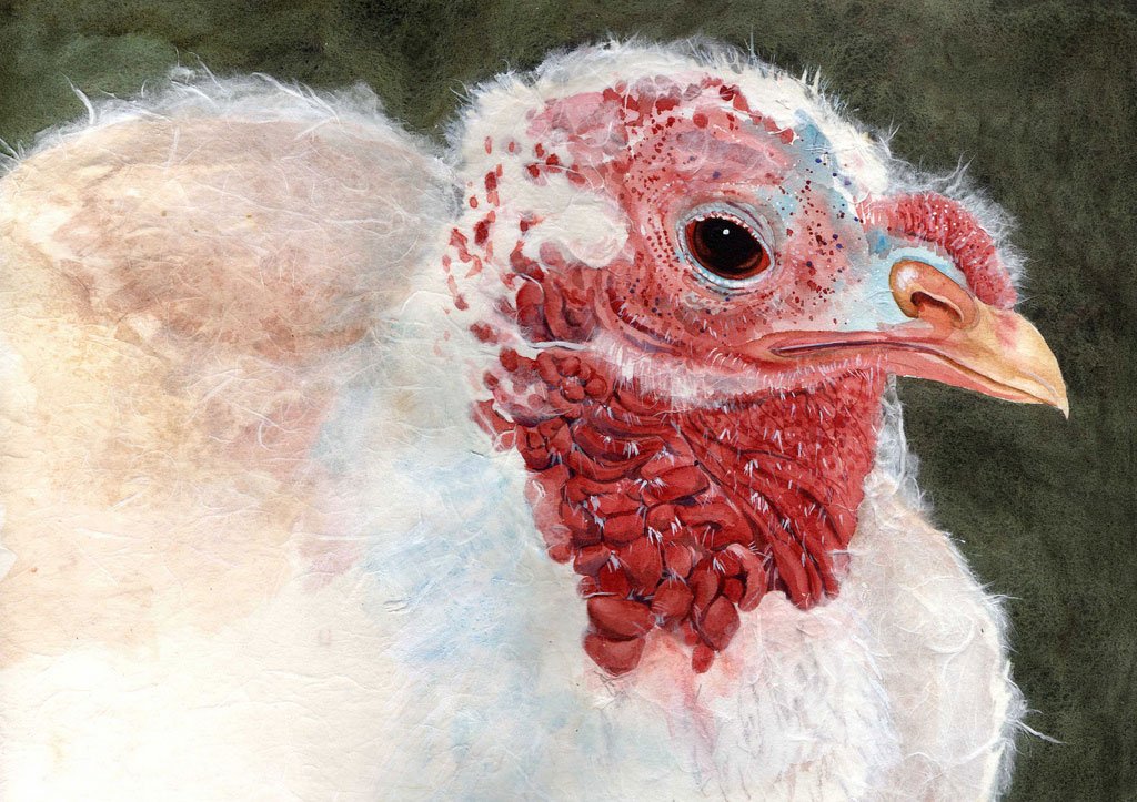 Watercolor by Cheryl Miller, “46 Million Turkeys”