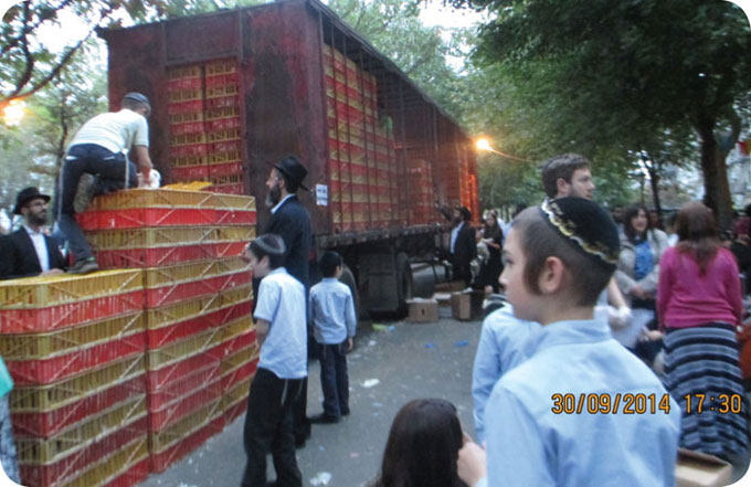 kaporos chickens stacked in crates