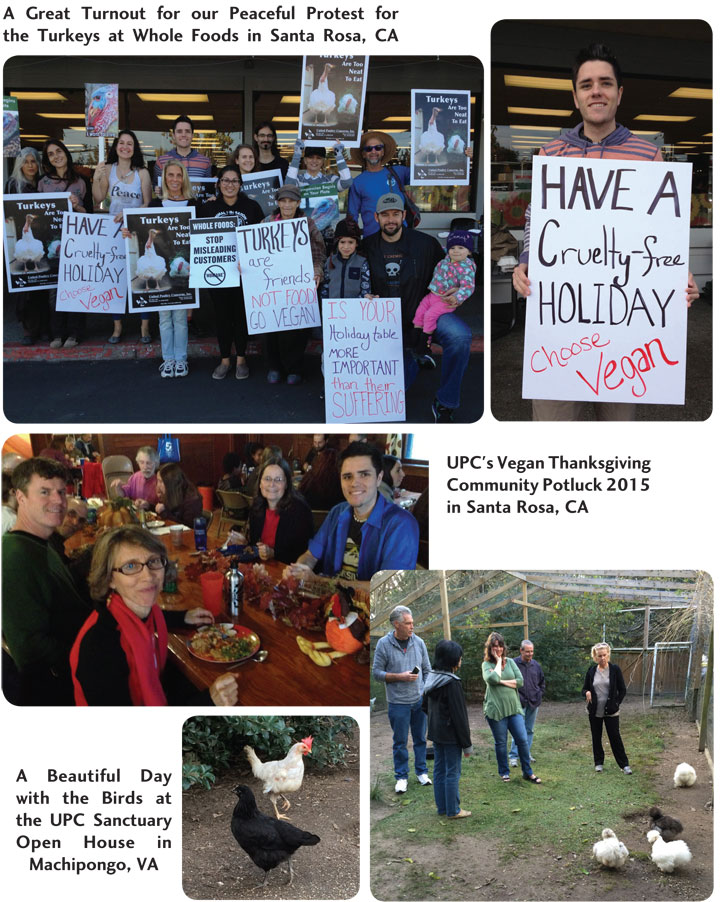 pioneering new traditions 2