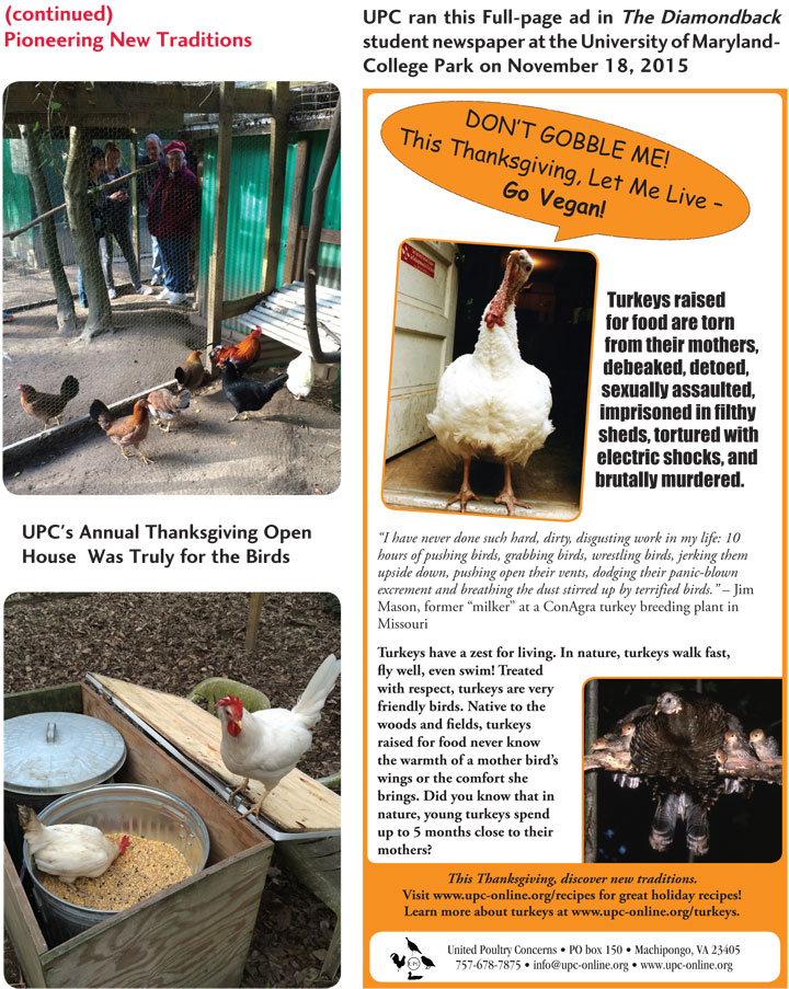 pioneering new traditions 3