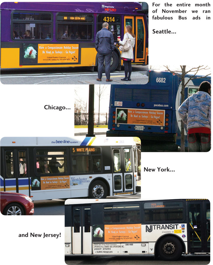 pioneering new traditions 4