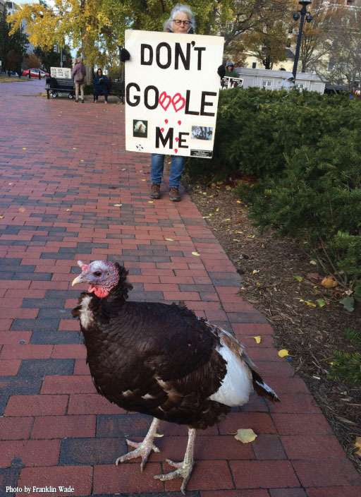 don't gobble me white house
