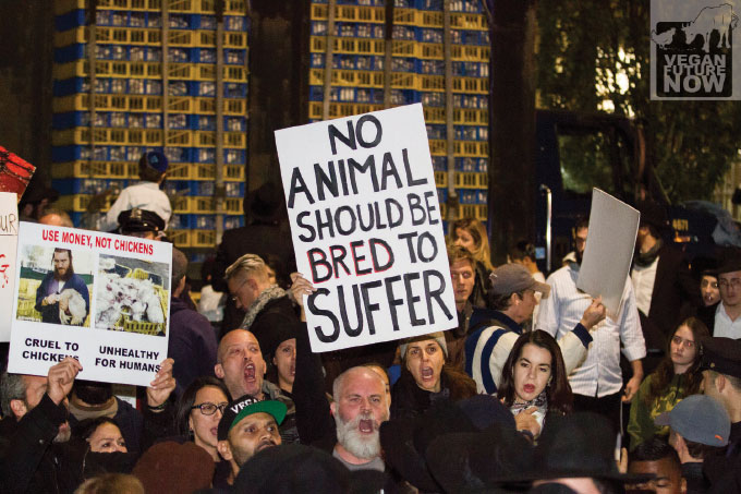 kaporos protest