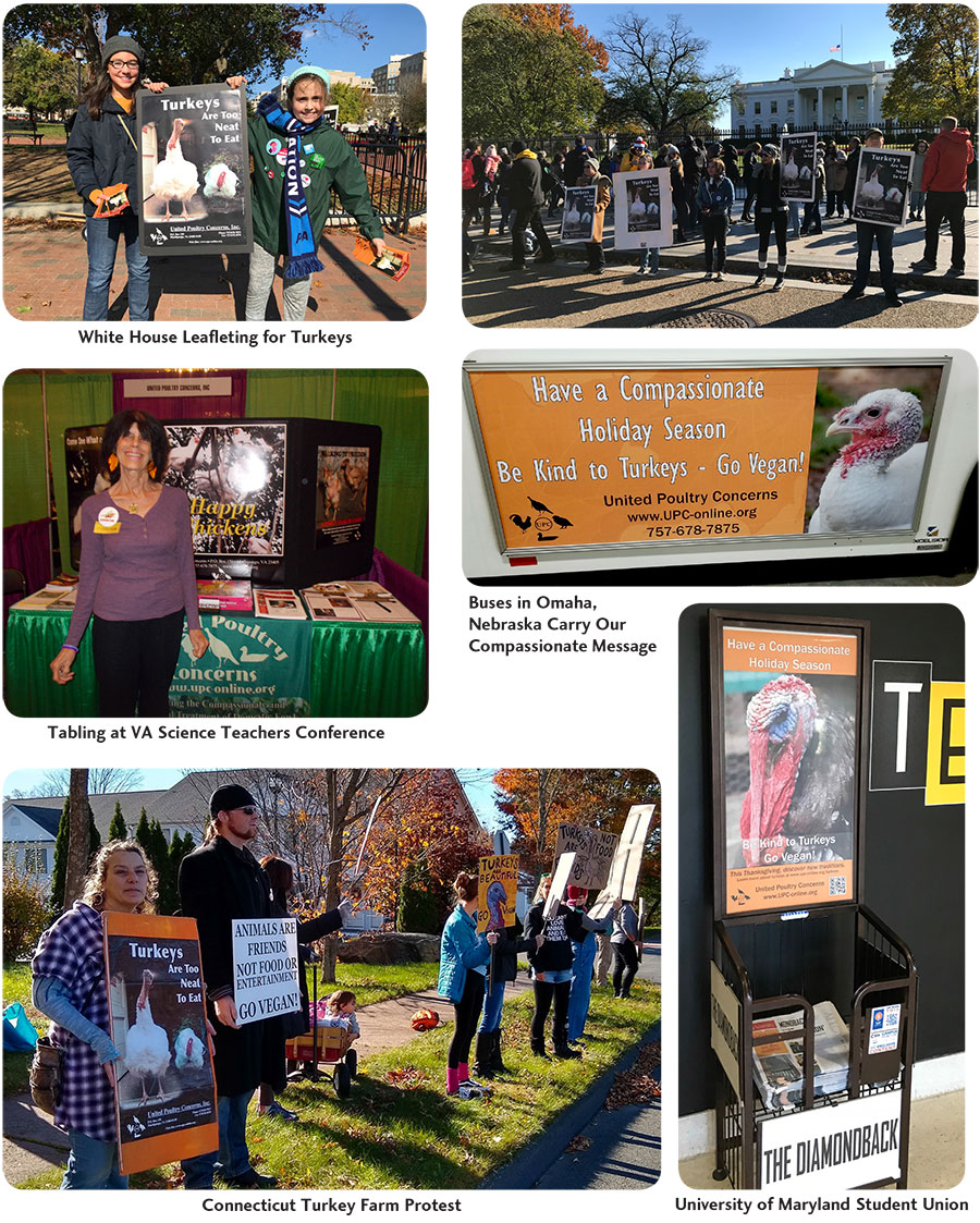 UPC Fall Activism Photo Gallery 2