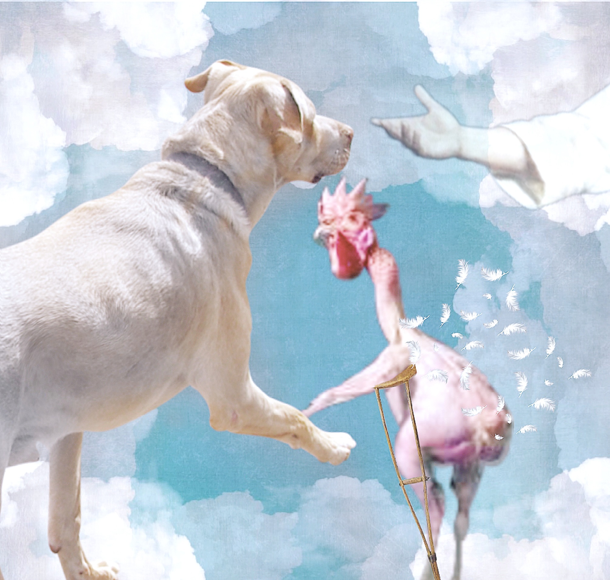 Old Dog and Sick Chicken Enter Heaven (Beth Clifton collage)
