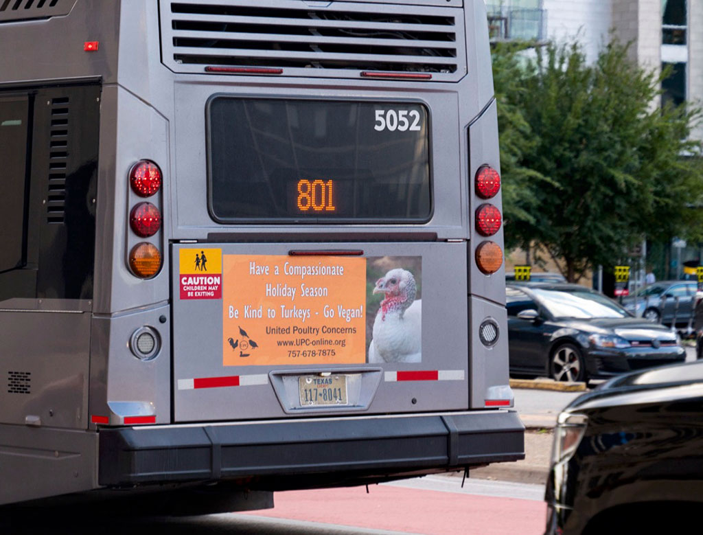 Our Turkey Bus Posters Win Praises in Austin, Texas!)
