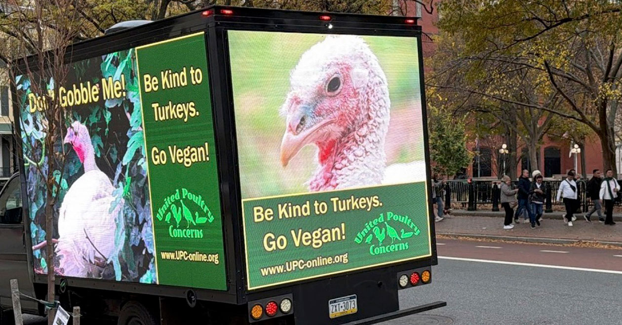 Don&rsquo;t Gobble Me! Truck near white house.