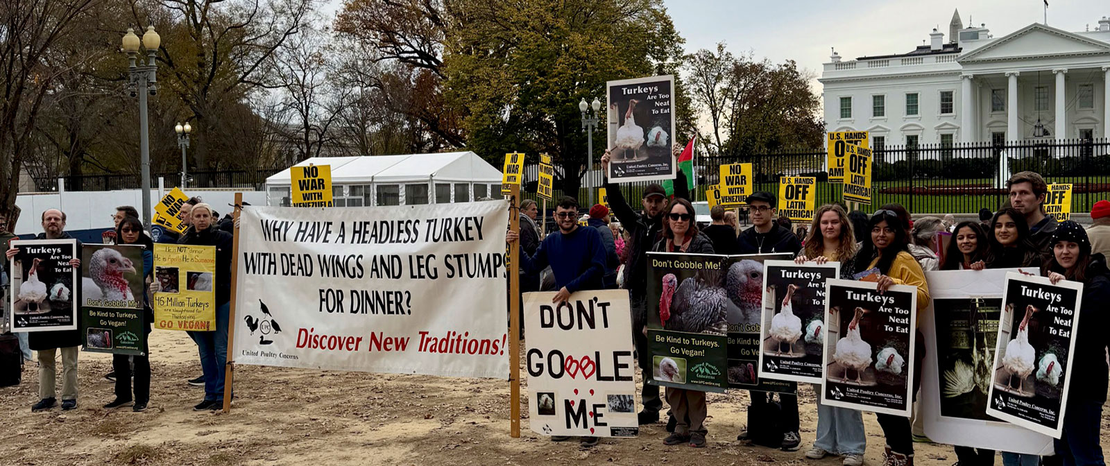 White House Leafleting for Turkeys