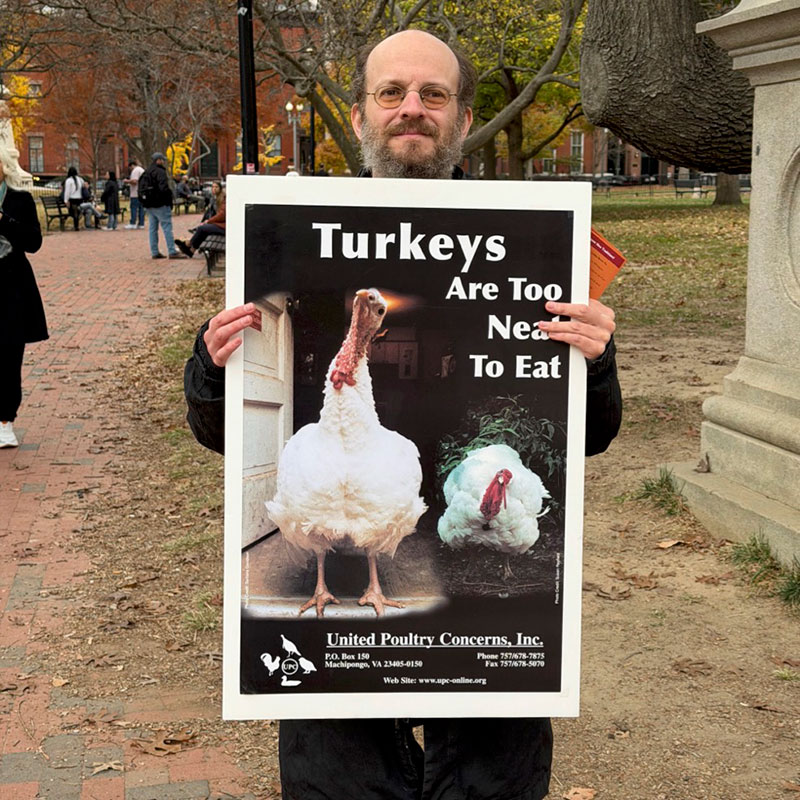 White House Leafleting for Turkeys