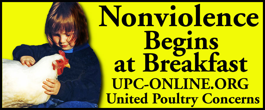 Nonviolence Begins at Breakfast Billboard