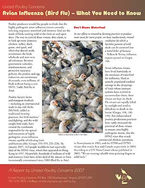 Bird Flu