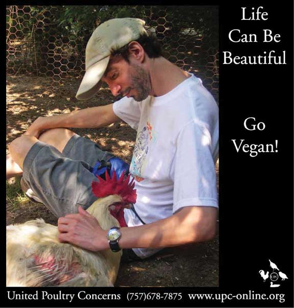 Life Can Be Beautiful - Go Vegan!