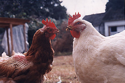Greta and Julia