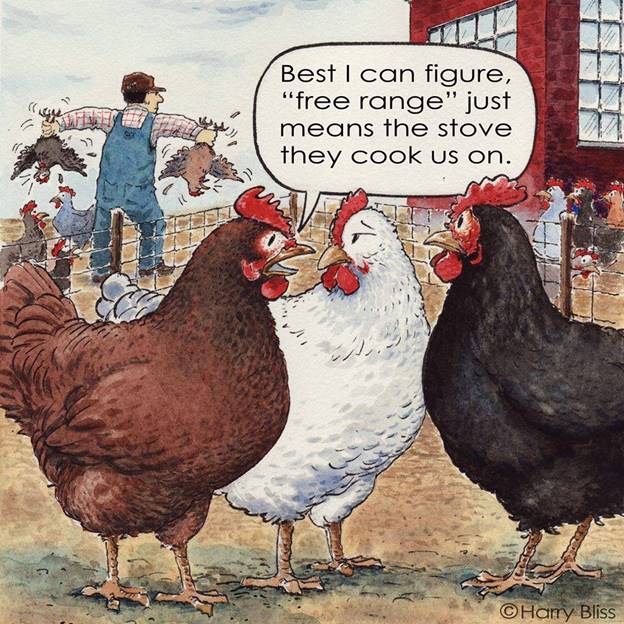 Harry Bliss comic. Hen says to other hens: Best I can figure, 'free range' just means the stove they cook us on.