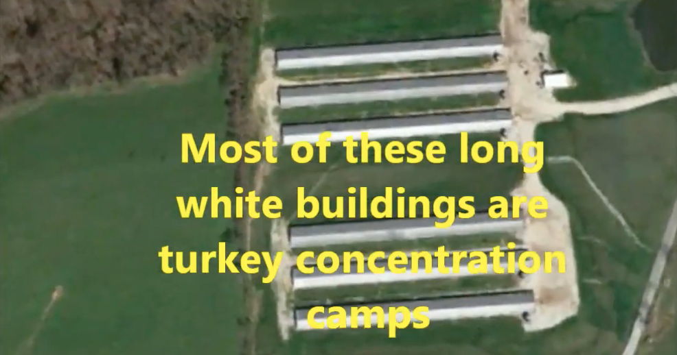 Aerial photo of turkey growing buildings