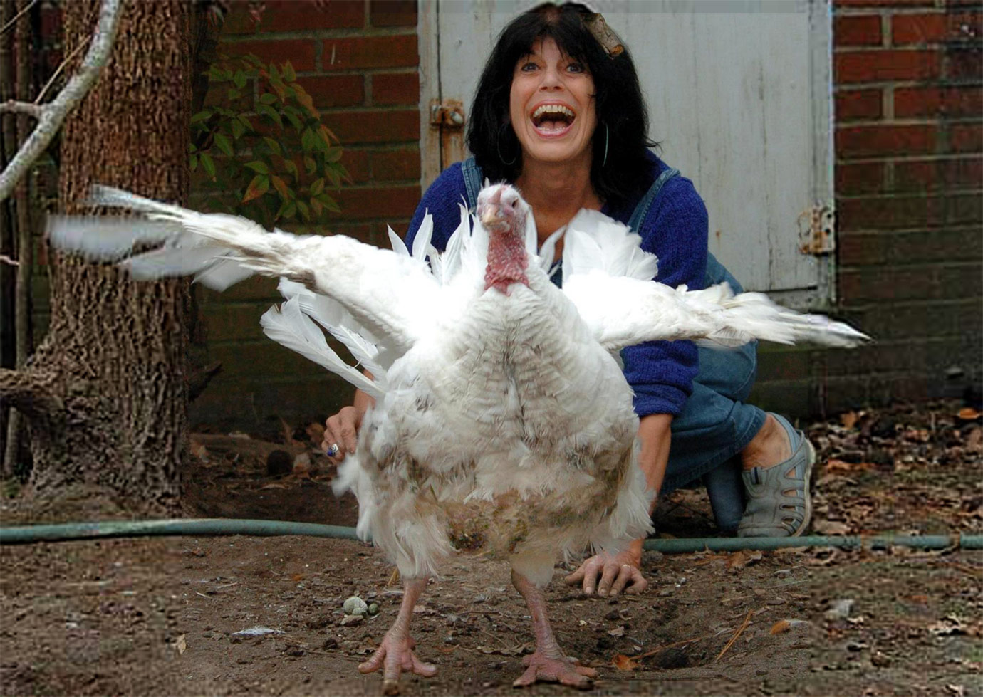 Karen laughing as Florence the turkey flaps her wings