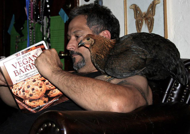 crr 2013