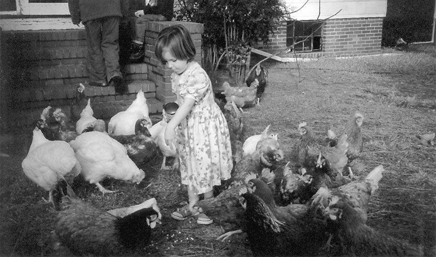 Feeding the Birds at Thanksgiving