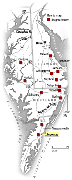 Slaughterhouses Map